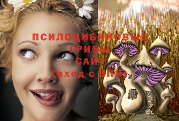 дживик Волосово