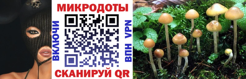 где можно купить наркотик  Елец  Псилоцибиновые грибы GOLDEN TEACHER 