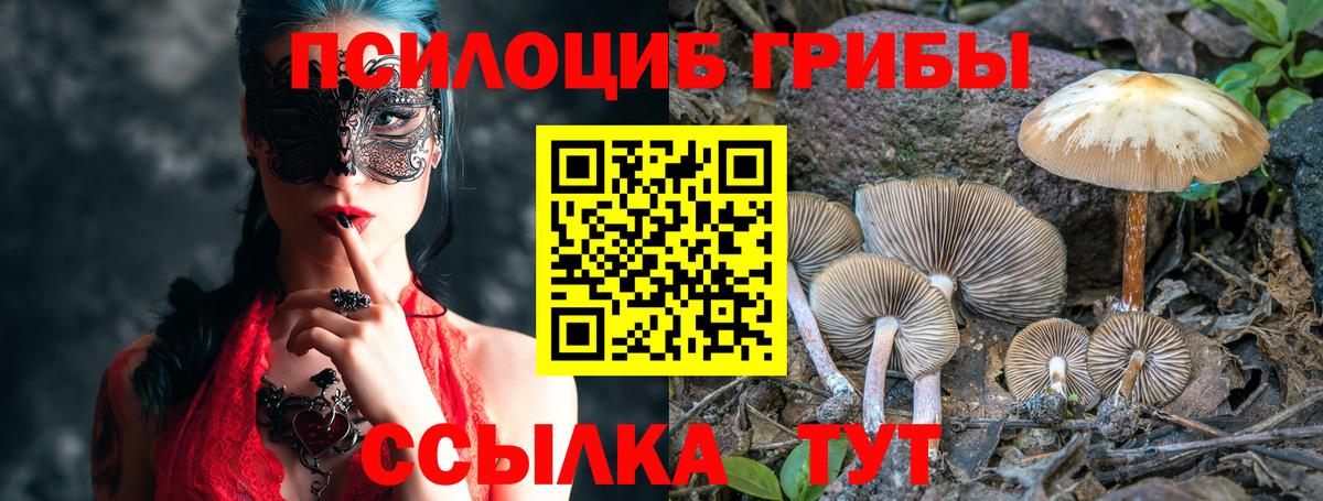 Псилоцибиновые грибы мухоморы  Галлюциногенные грибы MAGIC MUSHROOMS  Вход с VPN  Елец 